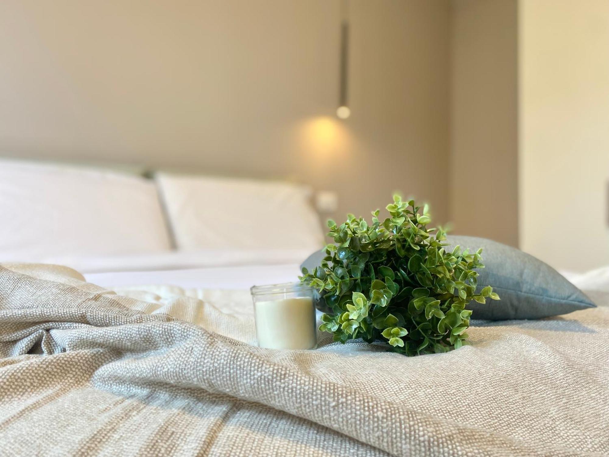 Casaviva - Apartment In The Historic Center - Land 제노바 외부 사진